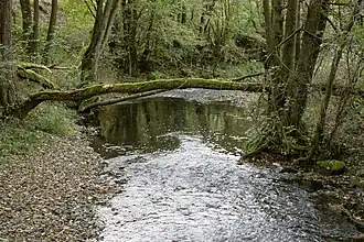Ennepe unterhalb der Ennepetalsperre