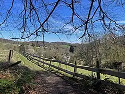 Wald südlich Breibach