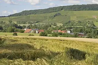 Sicht auf Hahnenbusch