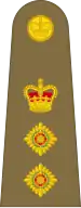 Colonel der British Army