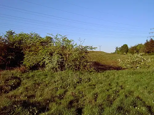 Pingenlandschaft im NSG Brockenberg