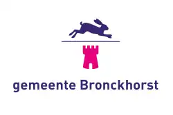 Flagge des Ortes Bronkhorst