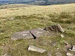 Steinkiste von Fan Foel