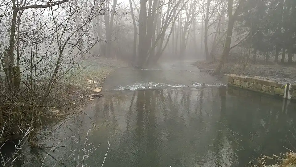 Das Wehr ersetzende Sohlegleite zwischen Brucht und Kaiwasser im Februar 2015.