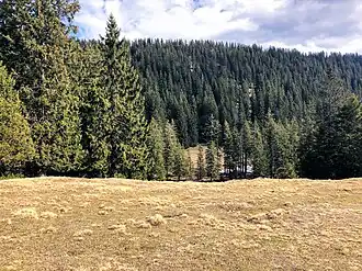 Buchrain von Wank aus gesehen