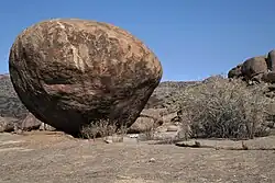 Bull's Party auf Farm Ameib