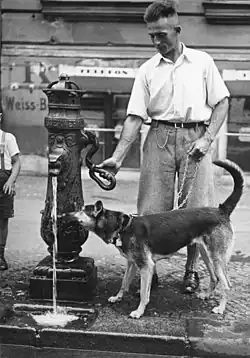 Hund und Herrchen am Brunnen (1932)[105]