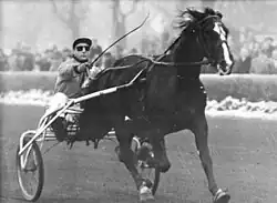 Trabrennen in Karlshorst, 1965