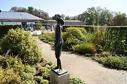 Shetlandpony (Heinrich Drake)