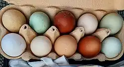 grüne, weiße und braune Eier