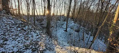 Blick vom Burgfelsen in den inneren am Hang auslaufenden Graben