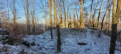 Blick vom inneren Wall auf inneren Graben und Burgfelsen