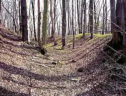 Der äußere Graben der Vorgängerburg nach Osten