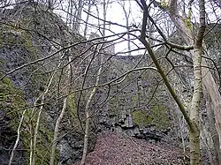 Einer der beiden aufgelassenen Basaltsteinbrüche unterhalb der Burg