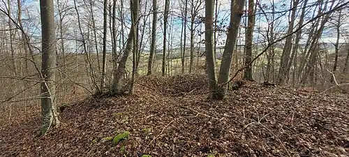 Mögliche Turmstelle oberhalb des Burgstalles