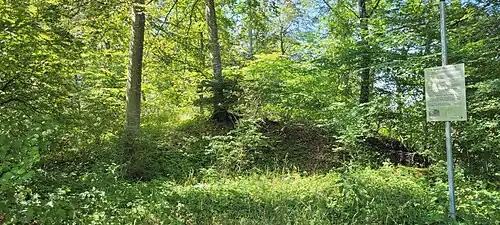 Halsgraben, Burghügel und Infotafel