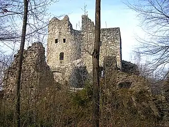 Burg Laubenbergerstein