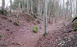 Bild 3: Gegen die Albhochfläche hin ausgerichteter Halsgraben, teils als Spitz-, teils als Sohlegraben ausgebildet