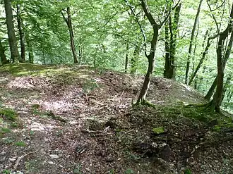 Areal der Kernburg mit Fundamenten des Turms