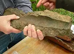 Lauf des Kanonenrohrs