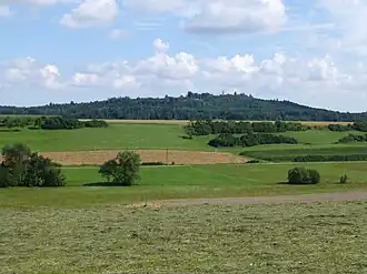 Burgberg von Süden gesehen