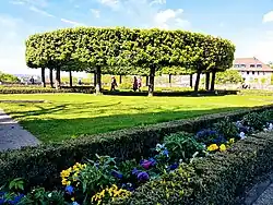 Burggarten – Blick auf Baumrondell aus Feldahorn