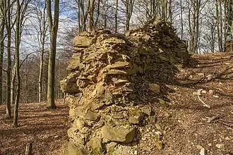 Rest der Zwingermauer