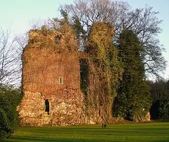 Die Burgruine in Lage