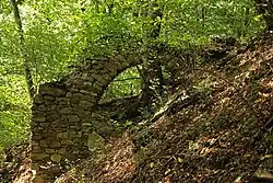 Ruinen der Burg Steinegg