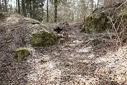 Bild 3: Profil des Halsgrabens, Blick nach Südwesten (April 2010)