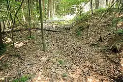 Bild 4: Der südliche Teil des Ringgrabens der Vorburg (2010)