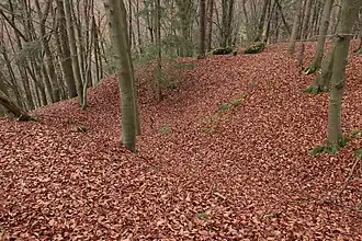 Bild 6: Vermutliche Kellergrube eines Gebäudes der Burg, rechts der Bildmitte L-förmiger Grundmauerrest (November 2013)