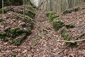 Bild 7: Grabenartige Vertiefung im Halsgraben (Dezember 2014)