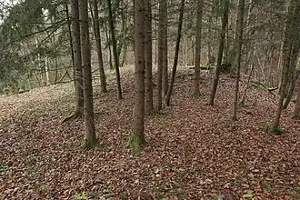 Bild 8: Blick über die leicht erhöhte südöstliche Seite der Burgstelle (Dezember 2014)