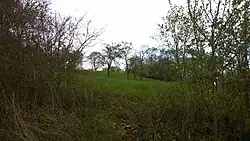 Blick von Norden aus dem Halsgraben auf das Gelände der Vorburg zum Turmhügel