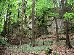 Bild 5: Burgfelsen von Nordosten