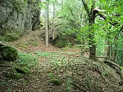 Bild 6: Absatz am Aufgang zur Oberburg, mögliche Stelle eines Torbaus, im Hintergrund der weitere Aufstieg zur Oberburg