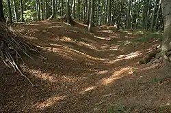 Oberfläche des Burghügels; die Geländemulde im Bild ist wohl der Rest eines Gebäudes