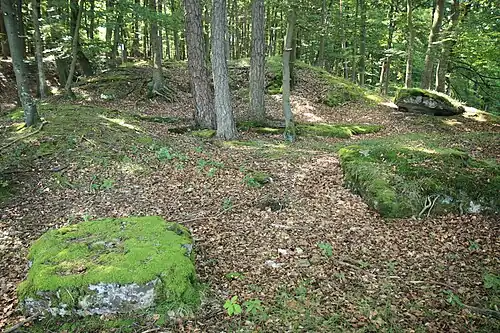 Bild 7: Niedriger liegender Bereich der Burg an der Spitze des Burgfelsens