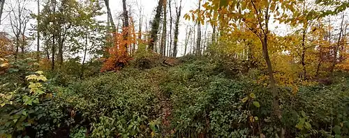 Über den Burggraben aufgeschütteter Zugang im Süden