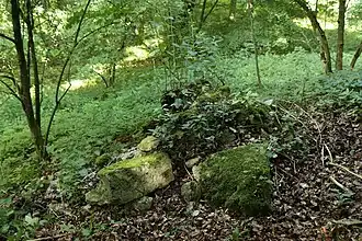 Bild 6: Mauerquader am Fuß des Nordhanges der Kernburg (Juli 2012)