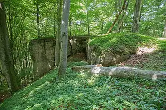 Bild 7: Felsen am Südwesteck der Kernburg (Juni 2015)