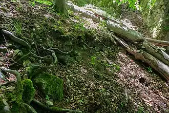 Bild 5: Abgegangenes Mauerwerk am Nordhang der Kernburg (Juni 2015)