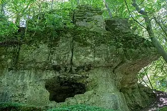 Bild 4: Höhle und Abri an der Westseite der Kernburg (Juni 2015)