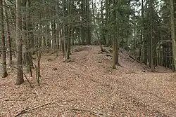 Bild 8: Ostspitze der Vorburg, links setzt der Ringwall aus (Dezember 2013)