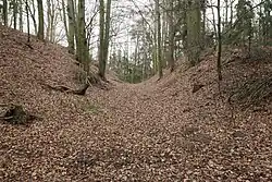 Bild 9: Profil des Abschnittsgrabens, Blick nach Norden (Dezember 2013)