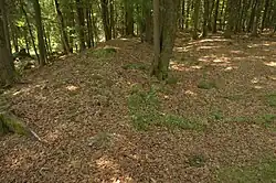 Bild 4: Ringwall an der Südseite, Blick von Osten. Rechts die Burgfläche