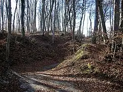 Gesamtansicht von Nordosten über den Graben der Vorburg