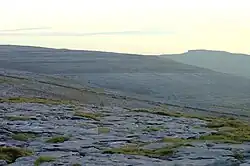 Burren Landschaft