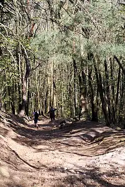 Kreuzweg bei Station XII